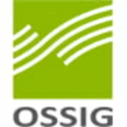 Logo van mbH Ossig Steuerberatungsgesellschaft