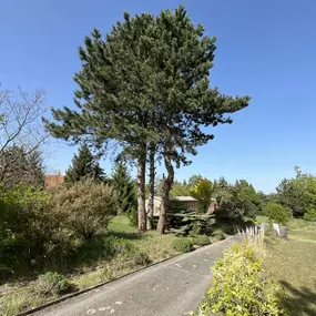 Bild von G.I.D. Gurland Immobilien Dresden