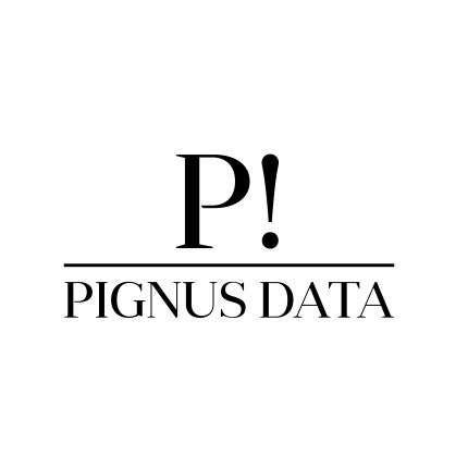 Logótipo de Pignus Data - einfache und passende Datenschutzlösungen