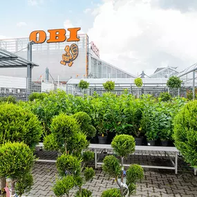 OBI Gartencenter Fürth