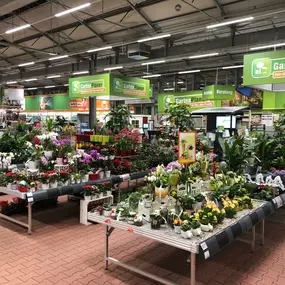 Gartencenter Warmhalle Frühjahr 2019