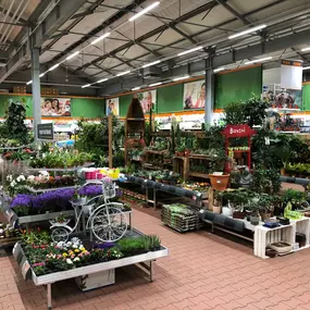 Gartencenter Warmhalle Frühjahr 2019