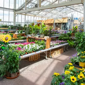 OBI Gartencenter Neustadt am Rübenberge