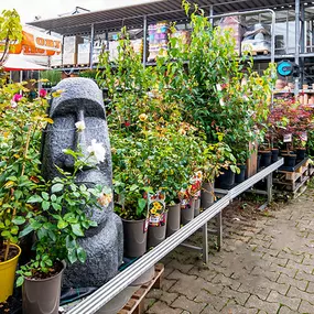 OBI Gartencenter Wuppertal