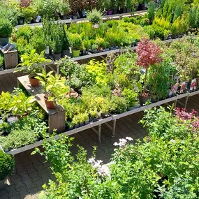 Bild von OBI Markt Wuppertal