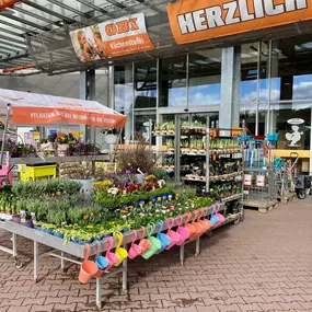 Willkommen bei OBI Erlangen Ost / Frühling vor dem Markt