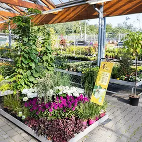 OBI Gartencenter Meinerzhagen