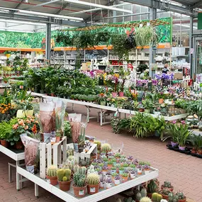 OBI Gartencenter Mühlhausen