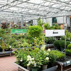 OBI Gartencenter Mühlhausen