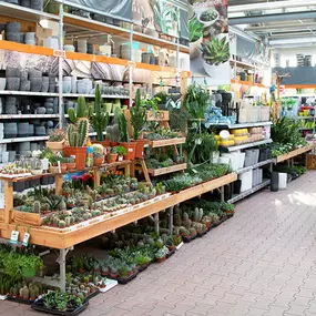 OBI Gartencenter Leipzig-Zentrum