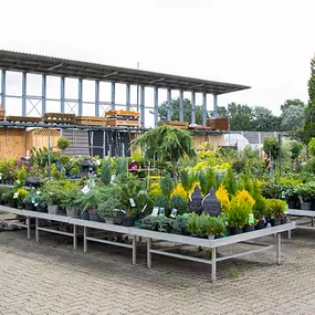 OBI Gartencenter Wittenberge