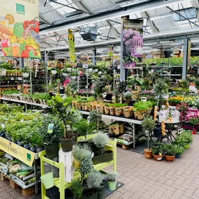 Ab ins Beet! Balkon- und Beetpflanzen finden Sie in unserem Gartencenter