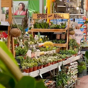 Bild von OBI Gartencenter Hamburg-Altona