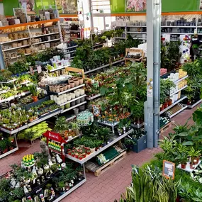 Bild von OBI Gartencenter Hamburg-Altona