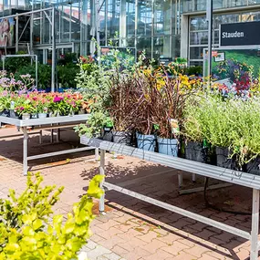 OBI Gartencenter Buchen