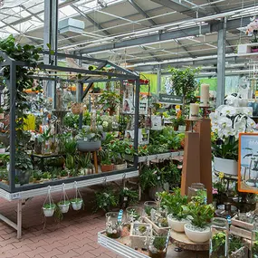 OBI Gartencenter Hamburg-Bergedorf