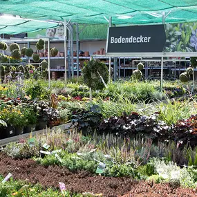 OBI Gartencenter Wittenberg