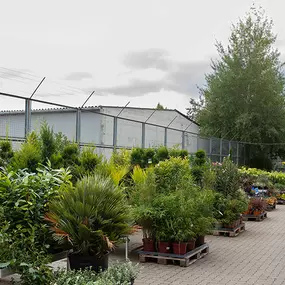 OBI Gartencenter Neubrandenburg Nord