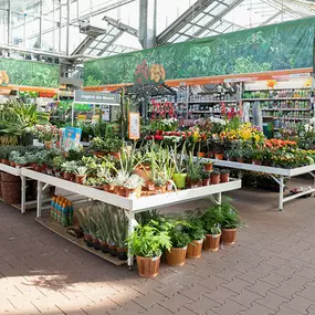 OBI Gartencenter Waiblingen