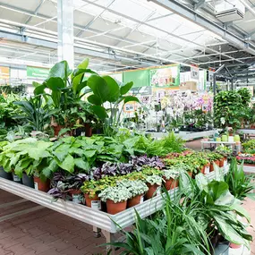 OBI Gartencenter Düsseldorf Heerdt