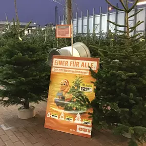 Weihnachtsbäume