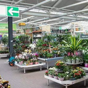 OBI Gartencenter Torgelow