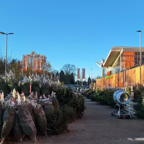 Großer Weihnachtsbaumverkauf