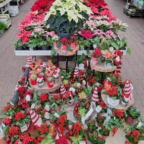 Bild von OBI Markt Dresden Weißig