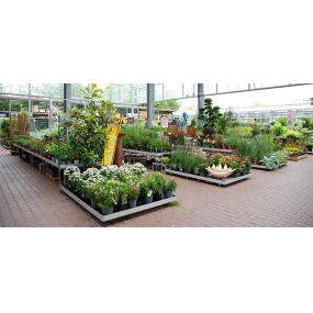 OBI Gartencenter Erfurt Nord