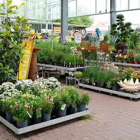 OBI Gartencenter Erfurt Nord