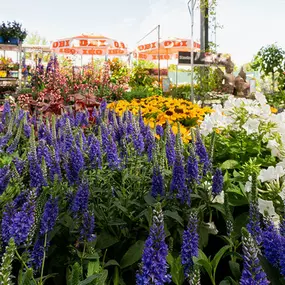 OBI Gartencenter Würzburg-Heuchelhof