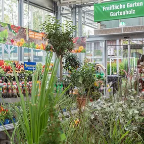 OBI Gartencenter Kassel