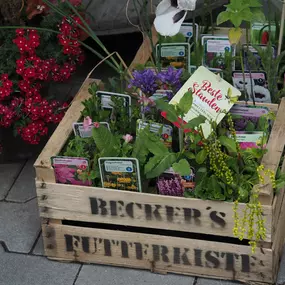 Bild von Blumen Honig - HONIG Floristik & Pflanzen