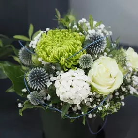 Bild von Blumen Honig - HONIG Floristik & Pflanzen