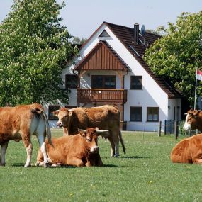 Bild von Ferienhof Hochthanner Inh. Anja Feuchtenberger