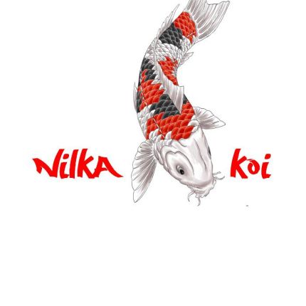 Logo od NILKA KOI