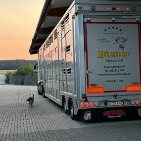 Bild von Patrick Biener Viehvermittlung u. - vermarktung