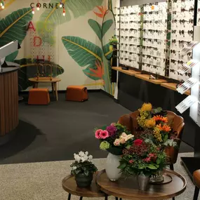 Bild von Hoffmann Optic Astrid Grimm e. Kfr.