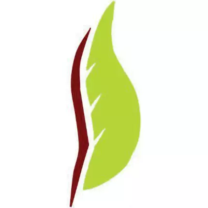 Logo from Blumen Nellessen Inh. Robert Nellessen