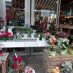 Bild von Christian Beller Blumen Beller Marktstand 1