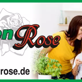 Bild von Küchen Rose