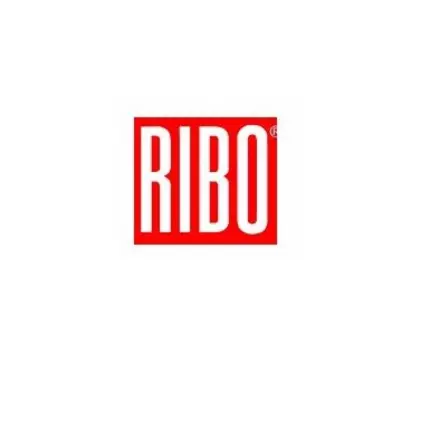 Logotipo de RIBO-Industriesauger GmbH