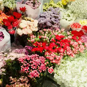 Bild von Blumen Kaiser