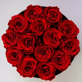Bild von Blumen Kaiser