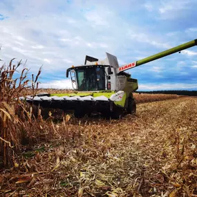 Bild von Landwirtschaftliches Lohnunternehmen Stamm