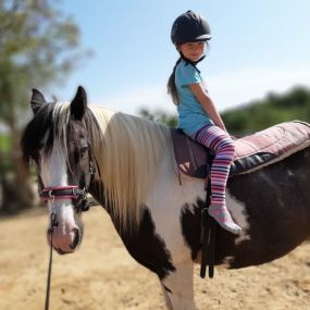 Bild von Rosenhof Bieswang e. V. - Therapeutische Reiten & Reitunterricht