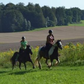 Bild von Rosenhof Bieswang e. V. - Therapeutisches Reiten & Reitunterricht