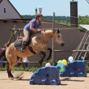 Bild von Rosenhof Bieswang e. V. - Therapeutisches Reiten & Reitunterricht