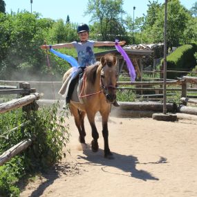 Bild von Rosenhof Bieswang e. V. - Therapeutisches Reiten & Reitunterricht