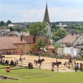 Bild von Rosenhof Bieswang e. V. - Therapeutisches Reiten & Reitunterricht